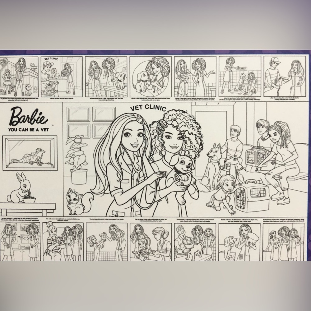 Barbie Bundle coloring poster you can be a Vet/Fashion Designer activity set. 3+ - Picture 3 of 5